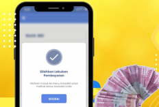 Cara Ikut Pemutihan Pajak Kendaraan Secara Online, Cepat dan Praktis