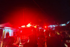 Si Jago Merah Lalap Rumah Warga di Desa Watas Rejang Lebong