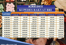 Tabel Kupedes BRI Pinjaman Rp 85 Juta, Berapa Bunganya per Bulan?