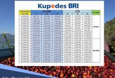 Syarat Petani Kopi Pinjam Kupedes BRI Rp 45-50 Juta, Bayarnya saat Panen