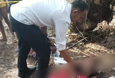 IRT Warga Sidosari Seluma Ditemukan Sudah Tak Bernyawa di Kebun Sawit