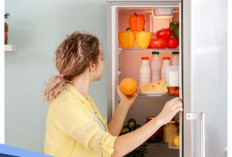 Kulkas di Rumah Boros Listrik? Coba Cek, Mungkin 4 Ini Penyebabnya