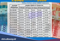 Tabel KUR BRI Mei 2026 Pinjaman Rp 150 Juta, Apa Saja yang Dinilai Mantri dari Jenis Usaha Debitur