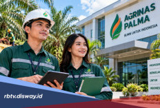 Pencari Kerja Merapat! BUMN Agrinas Palma Nusantara Lagi Buka Banyak Lowongan Kerja