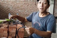 Ruko Milik Pak Lurah Jadi Sasaran Pencurian, Instalasi Listrik Dicabut lalu Dibawa Kabur 