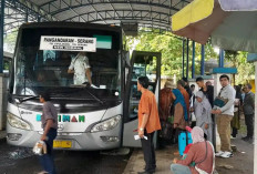 Daftar Harga Tiket Bus Budiman Pangandaran-Bandung, Siapkan Duit Segini