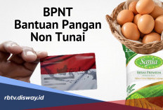 Jadwal Pencairan Bansos BPNT Tahap 3 Tahun 2026, Begini Cara Cek Statusnya