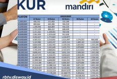 Apa Saja Jenis Sektor Usaha yang Diprioritaskan Sebagai Penerima KUR Bank Mandiri Plafon Rp 10 Juta?