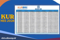 Tabel KUR BRI Mei 2026 Pinjaman Rp 20 Juta, Bisakah Tanpa Survei Lapangan?