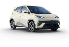 Daftar Mobil Listrik Murah Harga di Bawah Rp 300 Juta, Jarak Tempuh Ratusan Km