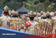 Sudah Dirilis, Ini Aturan Sekolah Kedinasan 2026 dari Kementerian PANRB