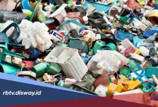 Sampah Makin Banyak, Lakukan Kebiasaan Kecil Ini untuk Mengurangi Sampah Rumah Tangga
