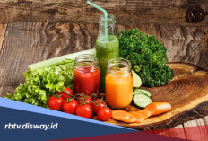4 Minuman Segar Pembakar Lemak Perut Paling Ampuh, Mudah Dibuat Sendiri di Rumah