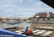 Bantuan Modal dari KUR BRI Rp100 Juta Bikin Usaha Melejit, Cek Angsuran Bulanannya di Sini