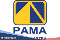 PT PAMA Buka Lowongan Kerja Terbaru 2026, Peluang Besar Bagi Lulusan SMA/SMK