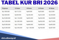 Tabel KUR BRI Mei 2026 Pinjaman Rp 110 Juta dan Cara Melihat Usaha Sudah Berkembang atau Belum