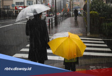 Prakiraan Cuaca Hari Ini, BMKG Sebut Wilayah Ini Berpotensi Hujan dan Angin Kencang 