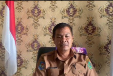 Sejak Januari, DPMPTSP Rejang Lebong Terbitkan 250 NIB
