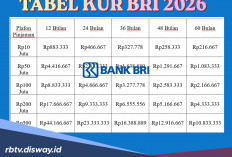 KUR BRI Mei 2026 Plafon Pinjaman Rp 55 Juta, Apa saja Ciri Pinjaman Disetujui?