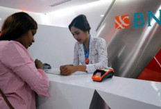 Tips Mengajukan Pinjaman BNI Fleksi Tanpa Ditolak, Angsuran Bulanan Bisa Pilih Sendiri