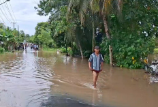 Pasca Hujan Panjang, Sejumlah Ruas Jalan hingga Rumah Terendam Banjir