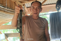 Maling Incar Motor di Area Perkebunan, Lansia di Seluma Jadi Korban Curanmor