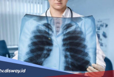 4 Minuman Ini Bisa Membantu Bersihkan Paru-paru, Tetap Sehat di Tengah Polusi dan Asap Rokok