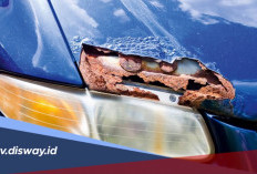 Cara Merawat Bodi Mobil agar Tidak Keropos Akibat Korosi Air Laut
