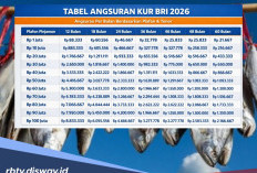 Angsuran KUR BRI 2026 Rp 60 Juta, Berapa Angsurannya per Bulan?