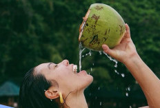 Selain Menyegarkan, Berikut Segudang Manfaat Air Kelapa Muda untuk Kecantikan