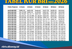 Cara Cek SLIK OJK Sebelum Ajukan KUR BRI Bulan Mei 2026, Cek Angsuran Pinjaman Rp 75 Juta