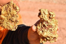 Banyuwangi, Indonesia, Holds 8 Million Ounces of Gold, Here's a Location Map