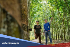 Simulasi Tabel Angsuran KUR BRI Rp 100 Juta, Pengajuan Bisa Offline dan Online