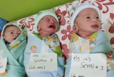 Pasutri di Ilir Talo Seluma Dikaruniai Bayi Kembar Tiga, Sang Nenek Berharap Pemerintah Bantu Pemenuhan Gizi  