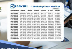 Tabel Pinjaman KUR BRI 2026 Plafon Rp 35 Juta, Apa saja Keringanan yang Didapat?