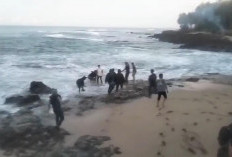 Perayaan Kelulusan Berakhir Duka, Pelajar Tewas Digulung Ombak 
