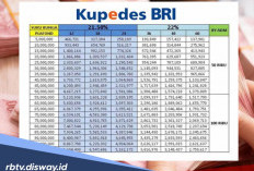 Pinjaman Kupedes BRI Rp 15 Juta Ditolak? Jangan Galau, Berikut Penyebab dan Panduan yang Harus Diperbaiki
