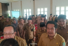 1.900 Honorer Seluma Dirumahkan tapi 3 Jenis Honorer Berikut Bisa Diangkat Kembali