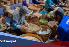 KUR Hadir UMKM Bangkit, Cek Tabel Angsuran KUR BRI Pinjaman Rp 50 Juta