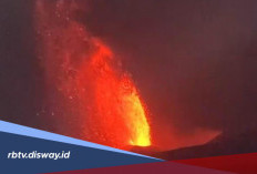 Gunung Anak Krakatau Erupsi Lagi Minggu Pagi, Warga Dilarang Mendekat Radius 3 Km