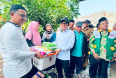 Pasca Kebakaran di Nusa Indah, Walikota Bengkulu Antar Bantuan untuk Korban