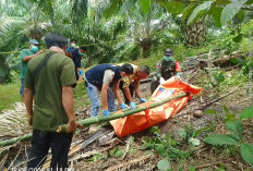 5 Hari Tidak Pulang ke Rumah, Warga Kaur Ditemukan Sudah Menjadi Mayat di Kebun Sawit