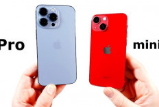 iPhone 13 Mini vs iPhone 13 Pro, 2 HP yang Menarik untuk Dimiliki