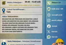Jelang MTQ, ULP PLN Tais Optimalkan Pemeliharaan Jaringan Listrik 
