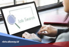 Adaro Energy Buka Lowongan Kerja untuk Lulusan D3 hingga S1, Cek Persyaratannya