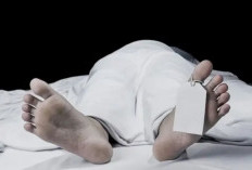 Kurir Paket di Kaur Ditemukan Meninggal Dunia dengan Kondisi Mengenaskan