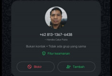 Oknum Penipu Catut Kasi Intel Kejari Bengkulu Selatan, Modus Video Call Gunakan AI