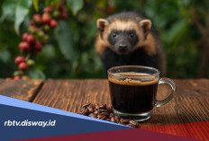 Daftar Kopi Indonesia yang Terkenal di Dunia, Kopi dari Daerahmu Termasuk