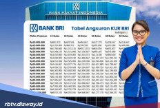Tabel KUR BRI Mei 2026 Rp 20 Juta, Ini Jenis Usaha yang Diberikan Modal