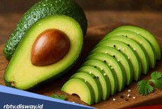 Manfaat Alpukat untuk Kesehatan Tubuh dan 4 Manfaatnya untuk Kulit